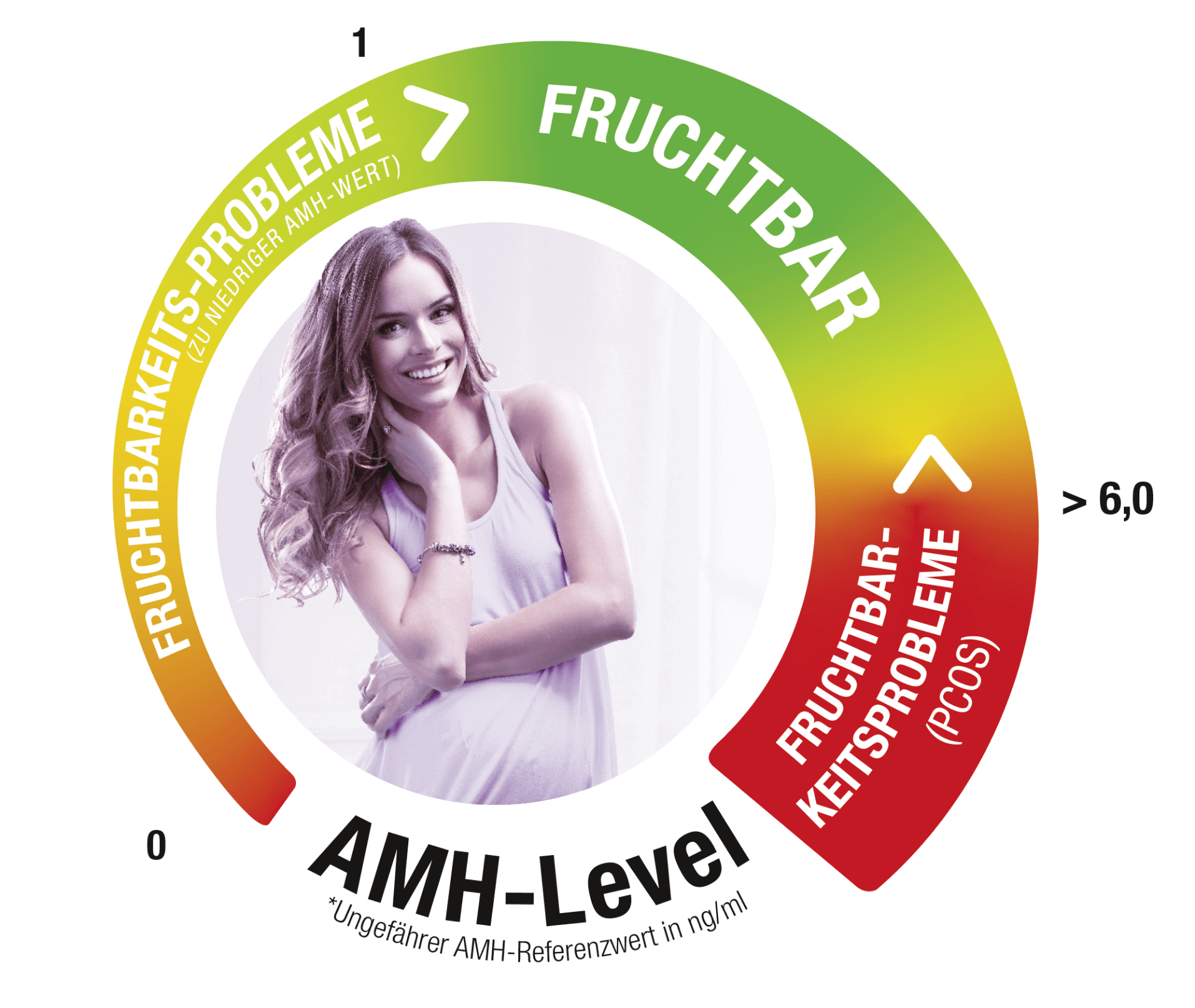 Studie zum Anti-Müller-Hormon ab 35 | PROFERTIL® female